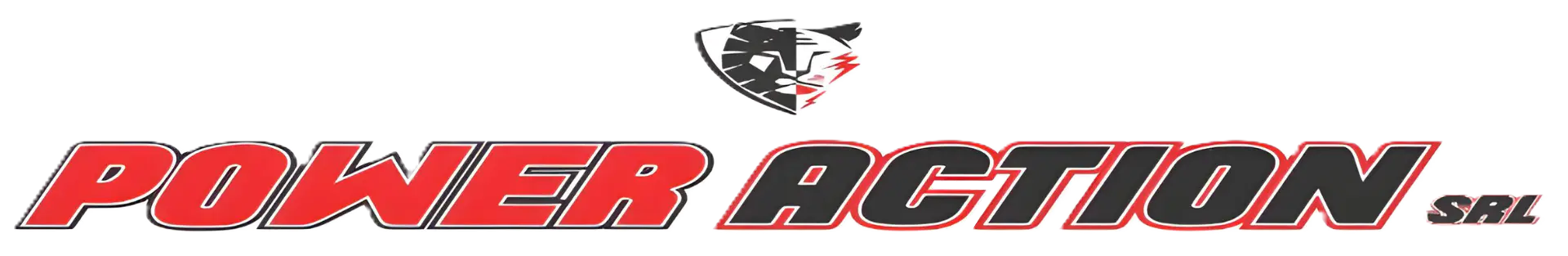 Power Action Logo